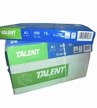 PAPIR TALENT A3 B klasa